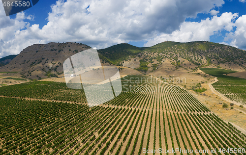 Image of Aerial view of mountain vineyard in Crimea