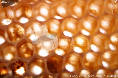 Image of honey texture