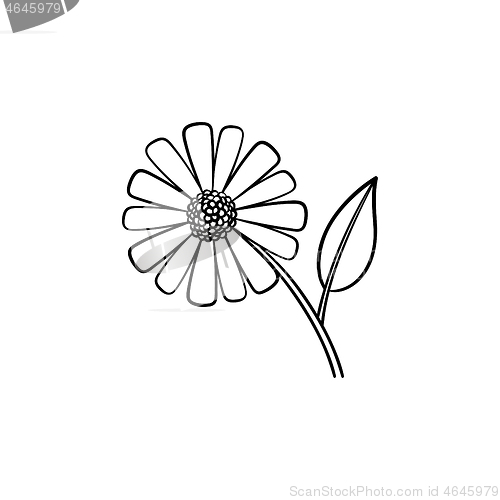 Image of Daisy flower hand drawn sketch icon.