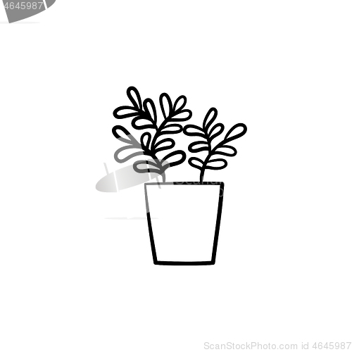 Image of Ficus in a pot hand drawn sketch icon.