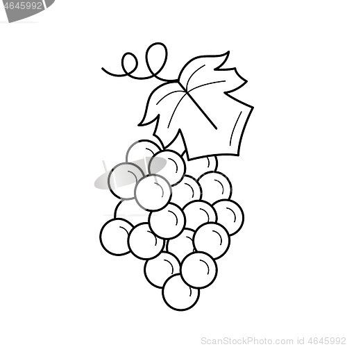 Image of Bunch of grapes vector line icon.