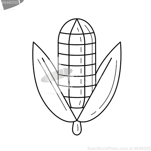 Image of Corn cob vector line icon.