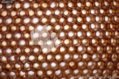 Image of honey texture