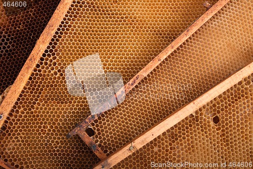 Image of honey texture
