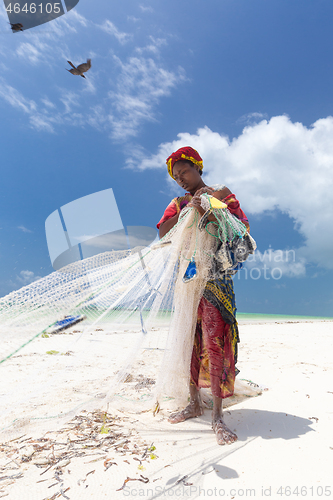 Image of Traditional african local rural fishing on Paje beach, Zanzibar, Tanzania. Traditionally dressed local woman pulling fishing net, catching small fish.