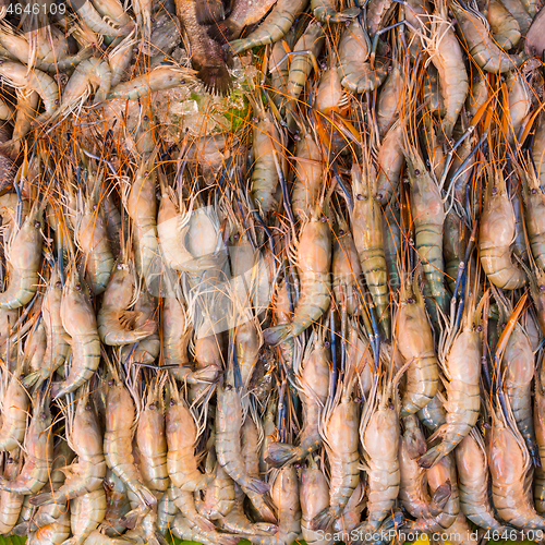 Image of Shrimps being sold at fish market stall