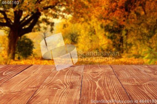 Image of Wooden boards or desktop against blurred autumn forest landscape on background. Use as mockup for display or montage of your products. Close up