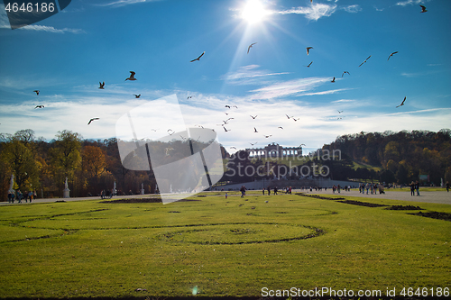 Image of Beautiful landscape before Schonbrunn Palace in Vienna.