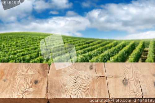 Image of Wooden boards or table top against blurred vineyard under blue sky on background. Use as template for display or montage of your products. Close up