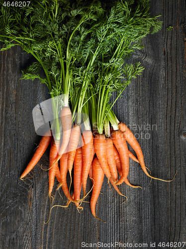 Image of fresh raw carrots
