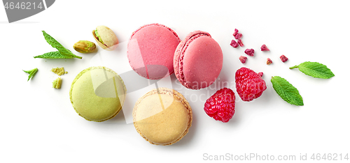 Image of composition of various macaroons