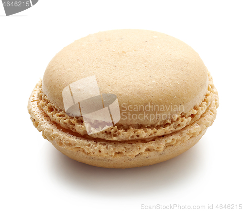 Image of vanilla macaroon on white background