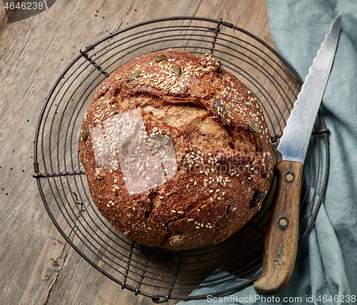 Image of freshly baked bread loaf