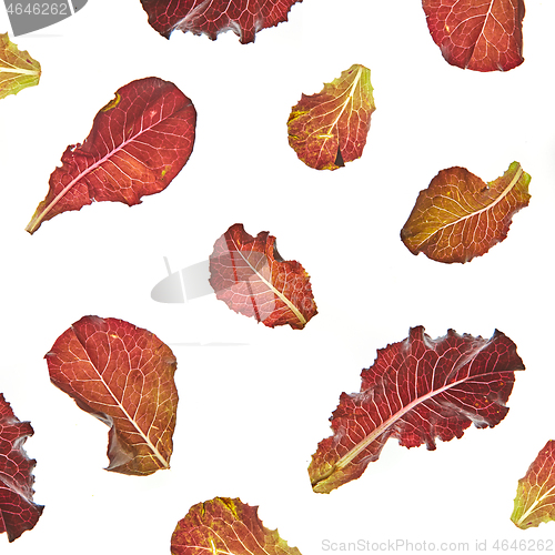 Image of Colorful leaves pattern of healthy natural organic salad flying against white background.