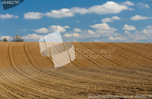 Image of spring plowed field curves in countryside