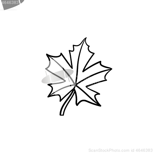 Image of Maple leaf hand drawn sketch icon.
