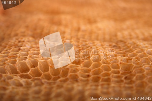 Image of honey texture
