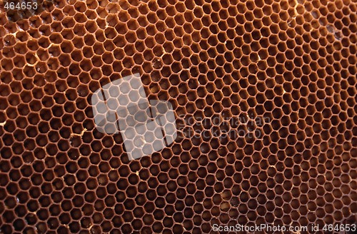 Image of honey texture