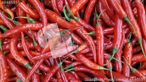 Image of Group of red hot chilli peppers