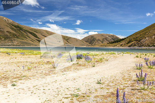 Image of Landscape scenery in south New Zealand