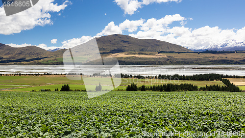 Image of Mountain Alps scenery in south New Zealand