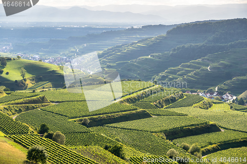 Image of landscape scenery in Breisgau Germany