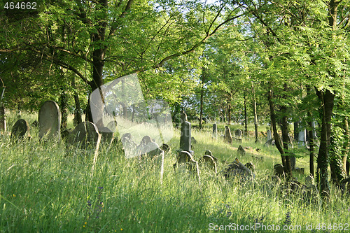 Image of burial place