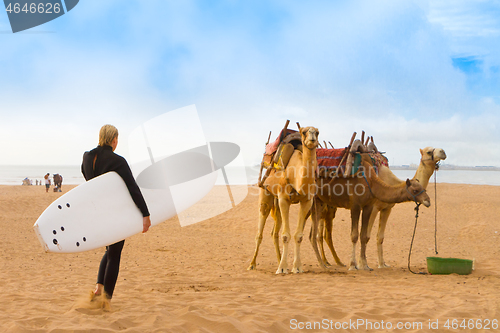 Image of Beach of Essaouira, Morocco, Africa. 