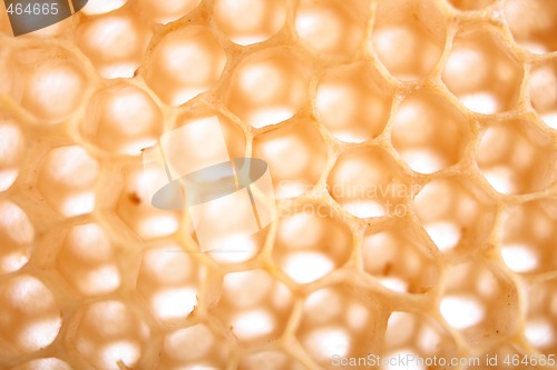 Image of honey texture