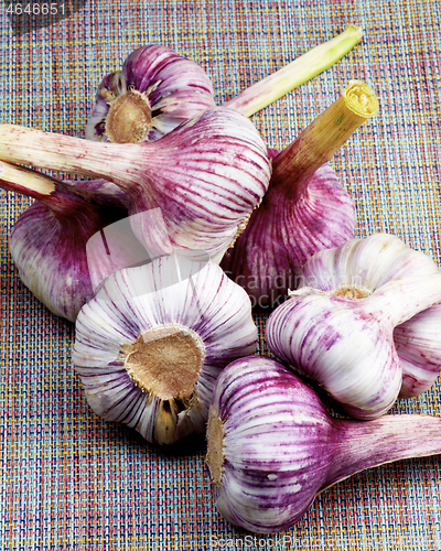 Image of Fresh Garlic Bulbs