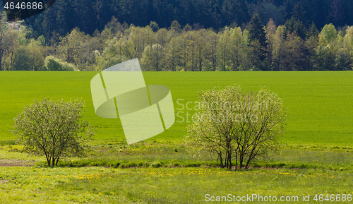 Image of spring rural summer landscape 