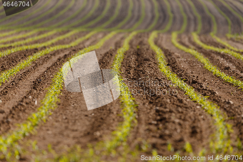 Image of spring plowed field curves