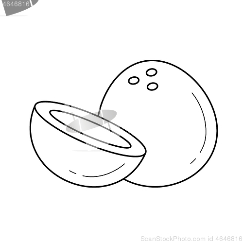 Image of Coconut vector line icon.