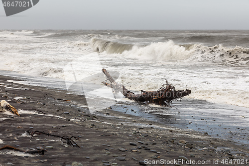 Image of jade beach Hokitika, New Zealand