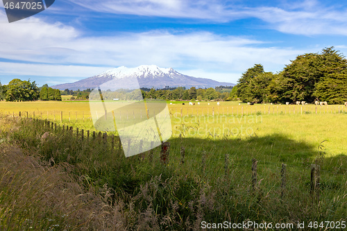 Image of Mount Ruapehu volcano in New Zealand