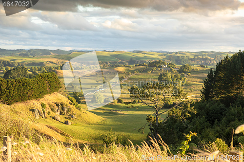 Image of typical rural landscape in New Zealand