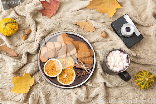 Image of gingerbread, hot chocolate and camera in autumn