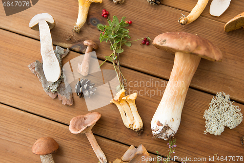 Image of different edible mushrooms on wooden background