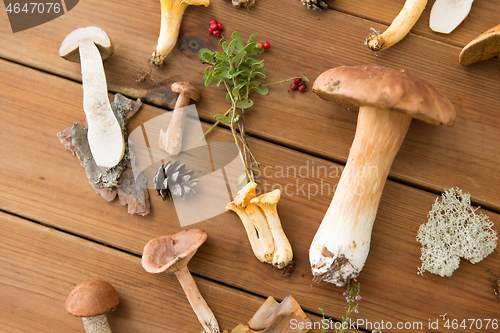 Image of different edible mushrooms on wooden background