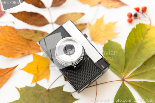 Image of film camera and autumn leaves on white background