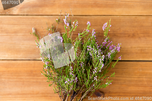 Image of heather bush on wooden table