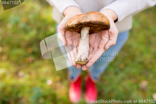 Image of close up of woman hands holding mushroom in forest