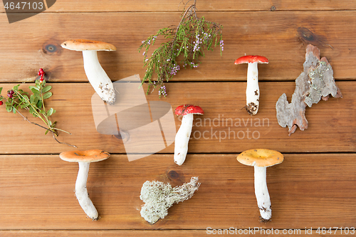 Image of russule mushrooms on wooden background