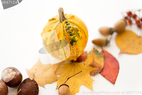 Image of close up of pumpkin, acorns and autumn leaves