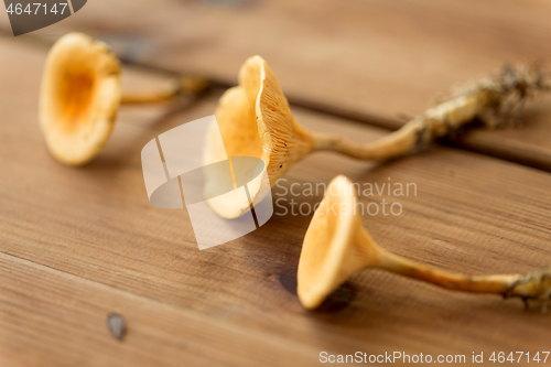 Image of chanterelles on wooden background