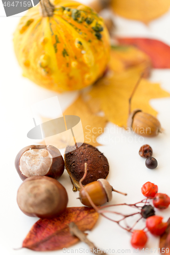 Image of chestnuts, acorn, autumn leaves, berry and pumpkin