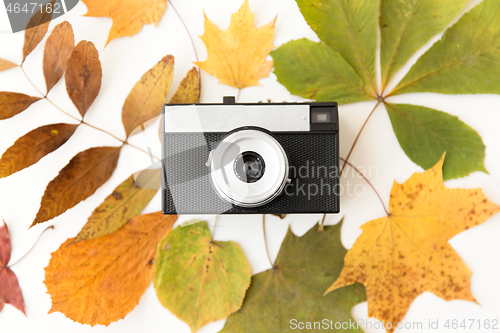 Image of film camera and autumn leaves on white background