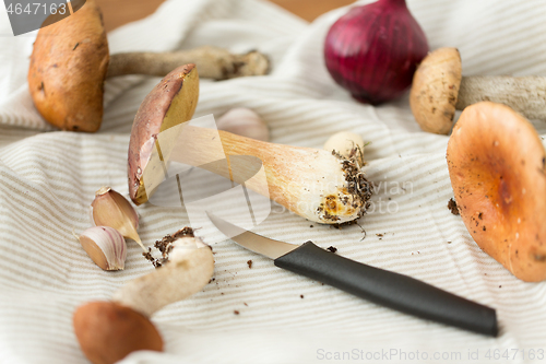 Image of edible mushrooms, kitchen knife and towel