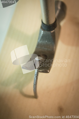 Image of Hammer and Nail