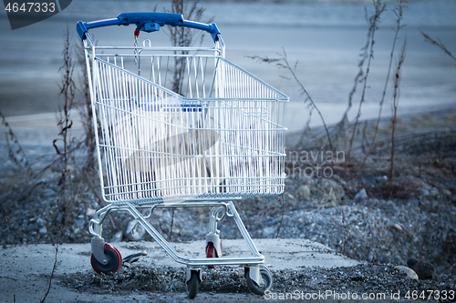 Image of Shopping Trolley